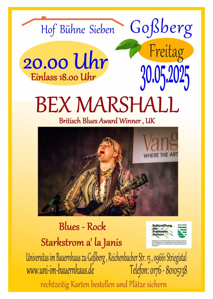 Konzert auf der Hofbühne 7