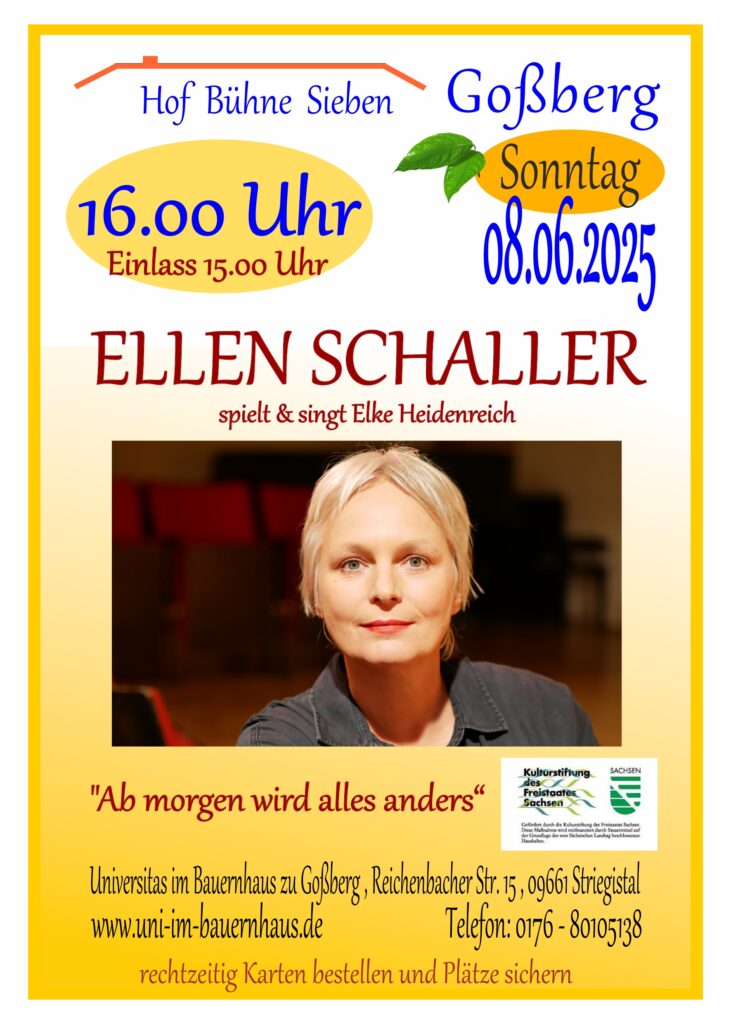 Konzert Hofbühne 7
