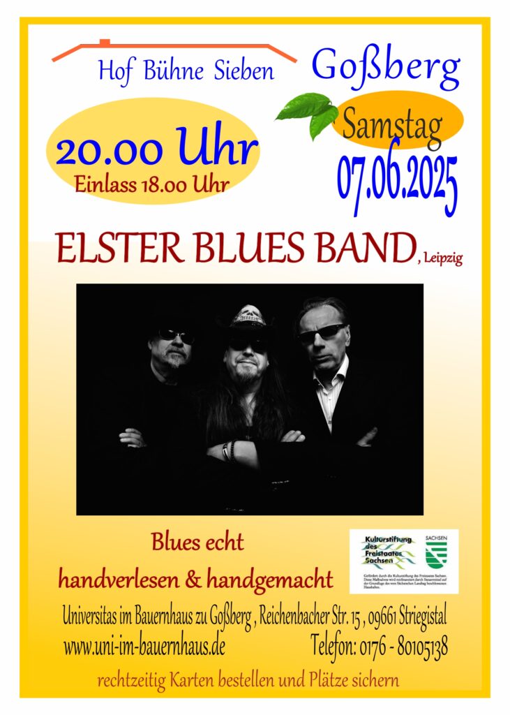 Konzert auf der Hofbühne 7
