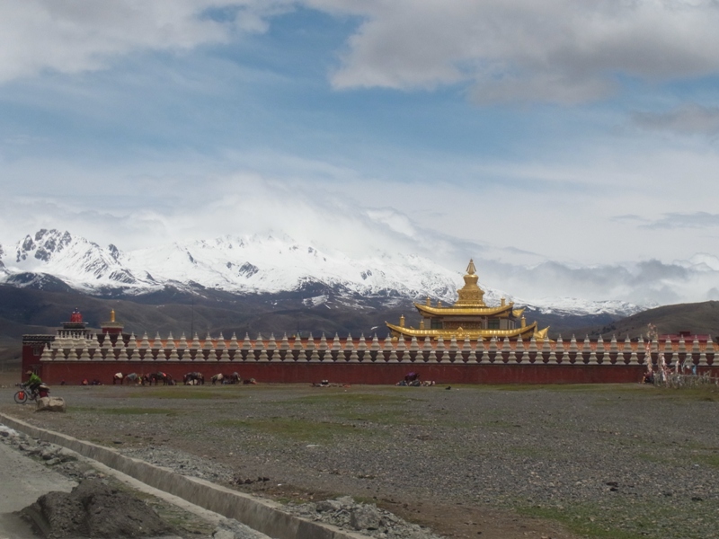 „Shangrila“